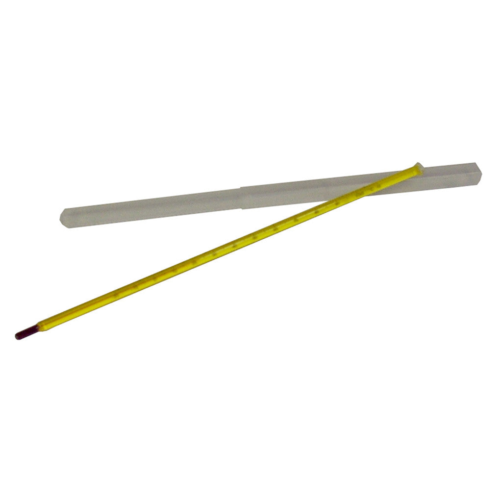 12in Laboratory Thermometer (Measures -20°C to 110°C)