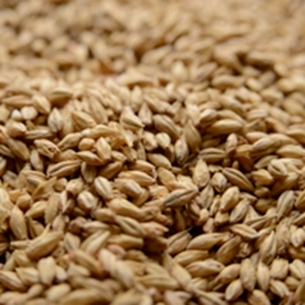 Briess 2-Row Pale Malt (3.5°L)