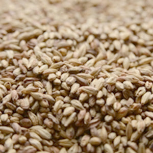 Briess Victory Malt