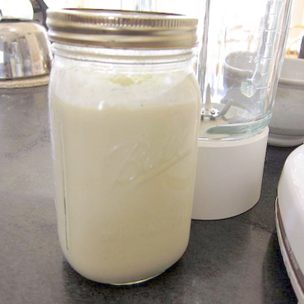 Buttermilk Direct Set Culture - 5-Pack