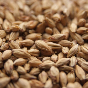Castle Chateau Monastique Malt (16.3º - 21.2°L)