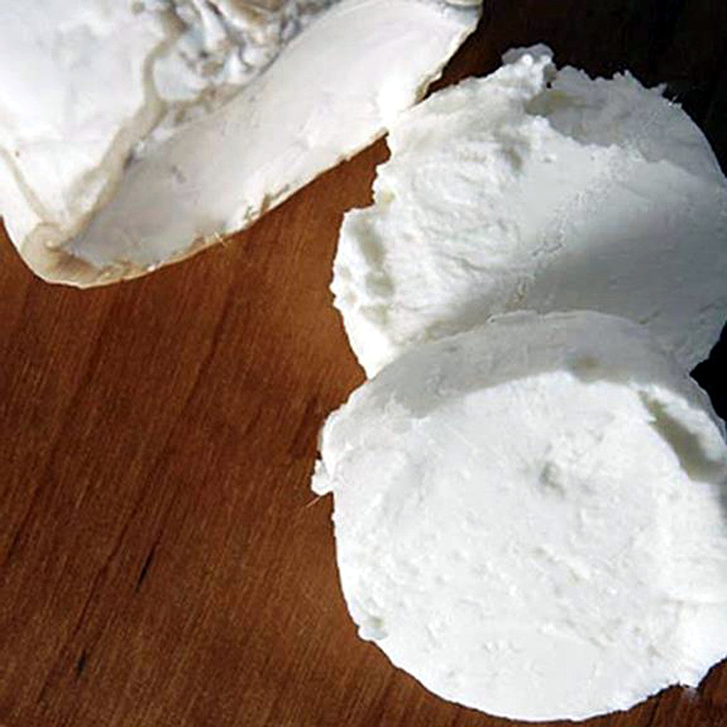 Chèvre Direct Set Cheese Culture - 5-Pack
