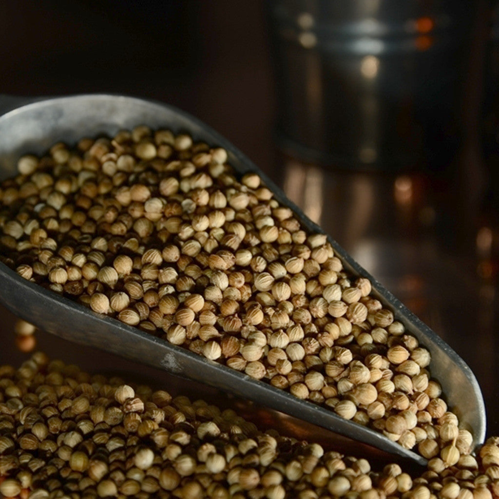 Coriander Seed, 1oz