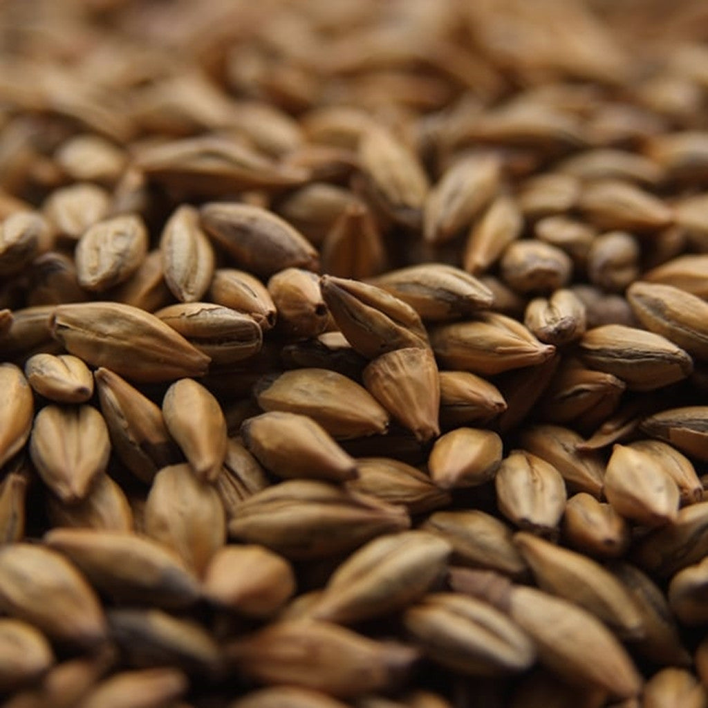 Crisp Amber Malt (25° - 35°L)