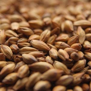 Briess Caramel Malt (60ºL)