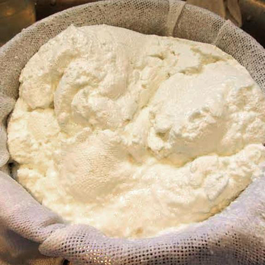 Fromage Blanc Direct Set Cheese Culture - 5-Pack