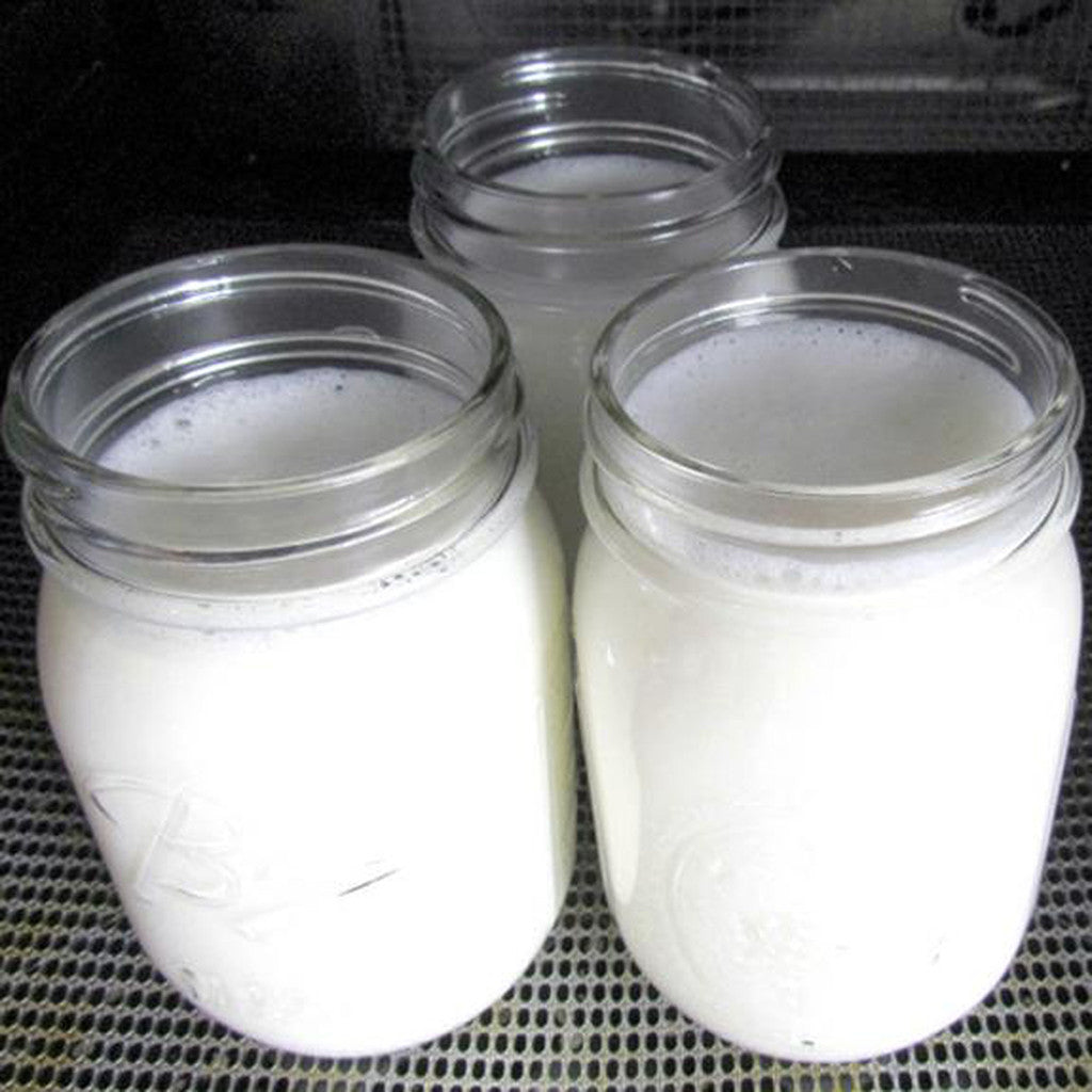 Yogurt (Sweet) Direct Set Culture - 5-Pack