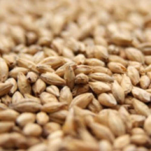 Proximity Pilsen Malt